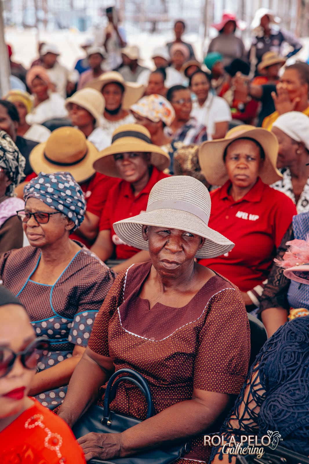 WhatsApp Image 2024-10-23 at 21.21.42